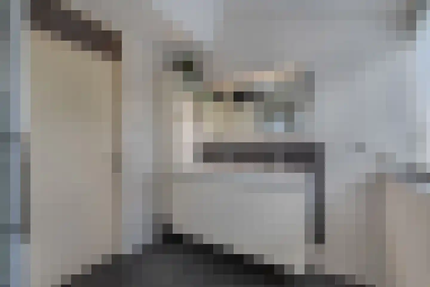 De Vogelkers 1 Bedum thumbnail 35