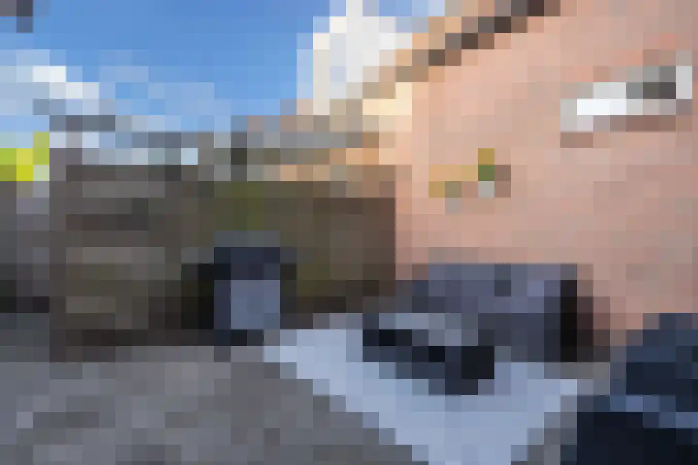 De Vogelkers 1 Bedum thumbnail 36