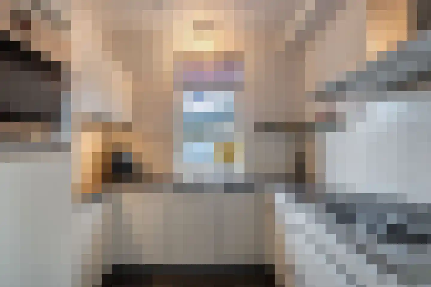 De Vogelkers 1 Bedum thumbnail 4