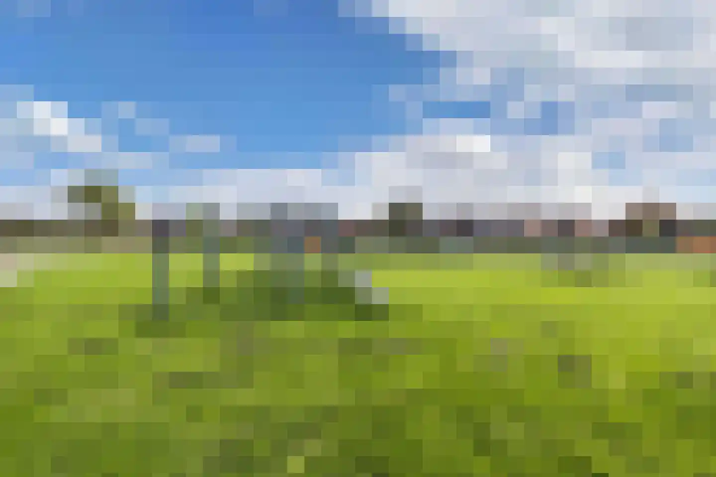 De Vogelkers 1 Bedum thumbnail 42
