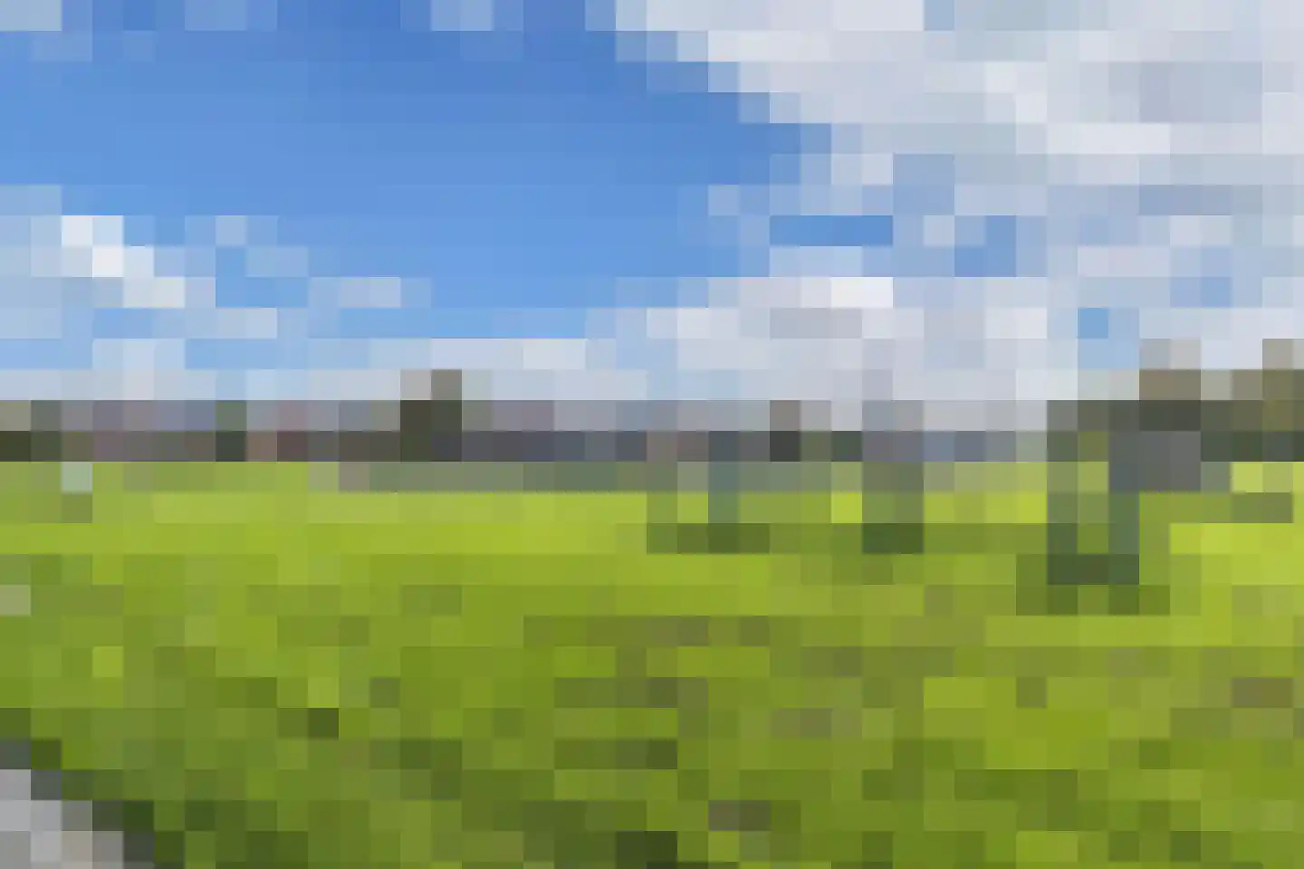 De Vogelkers 1 Bedum thumbnail 43