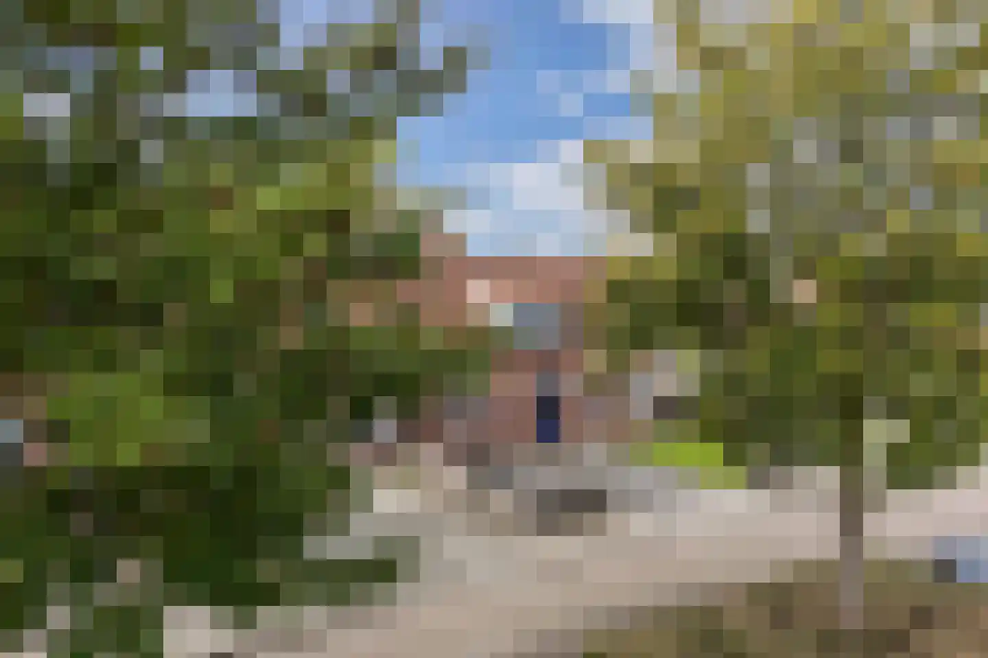 De Vogelkers 1 Bedum thumbnail 7