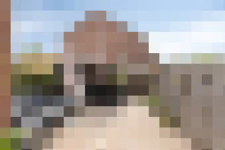 De Vogelkers 9 Bedum thumbnail 31