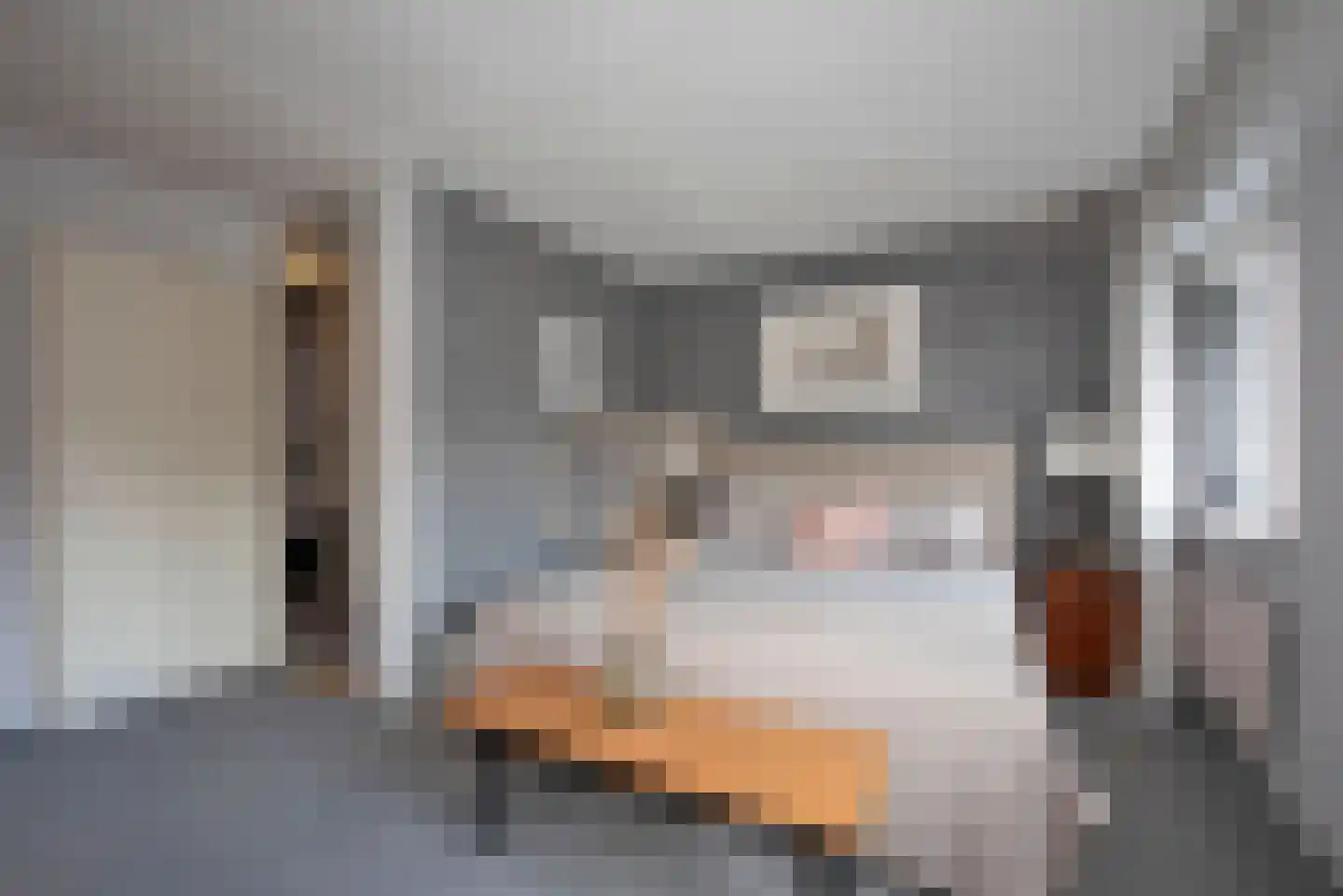 De Vogelweide 22 Almelo thumbnail 12