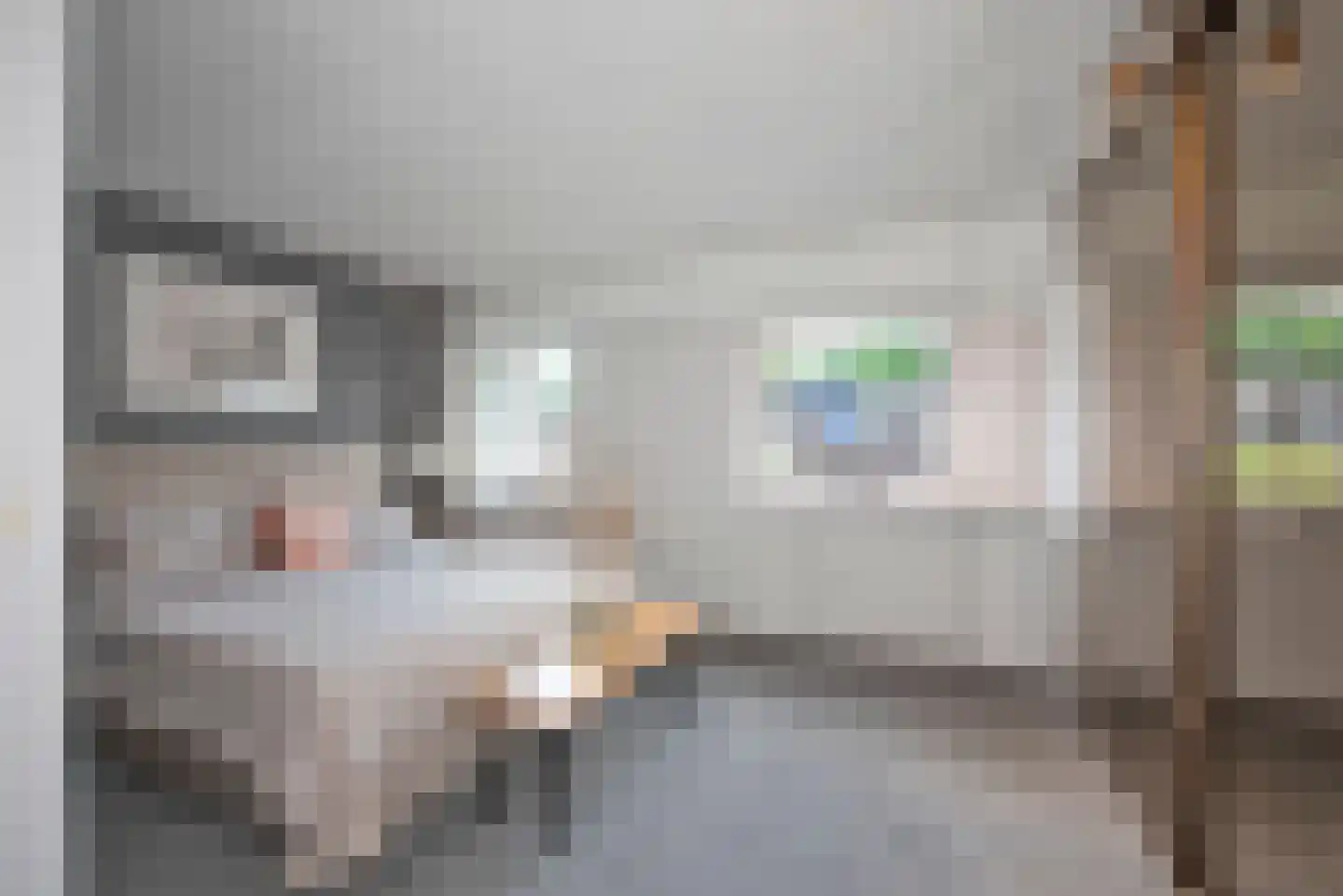De Vogelweide 22 Almelo thumbnail 14