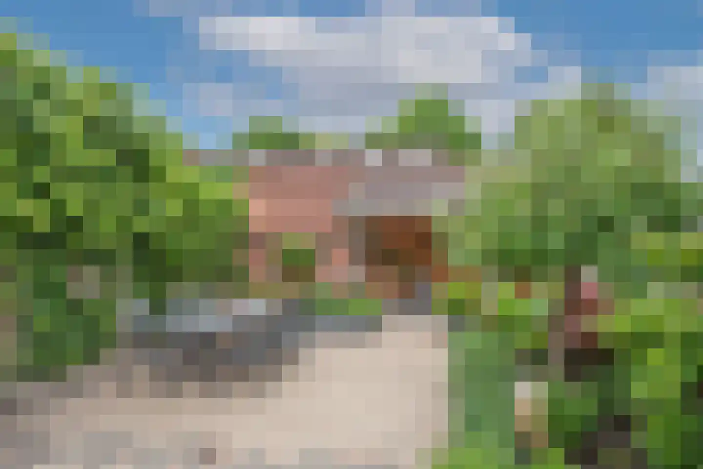 De Vogelweide 22 Almelo thumbnail 24