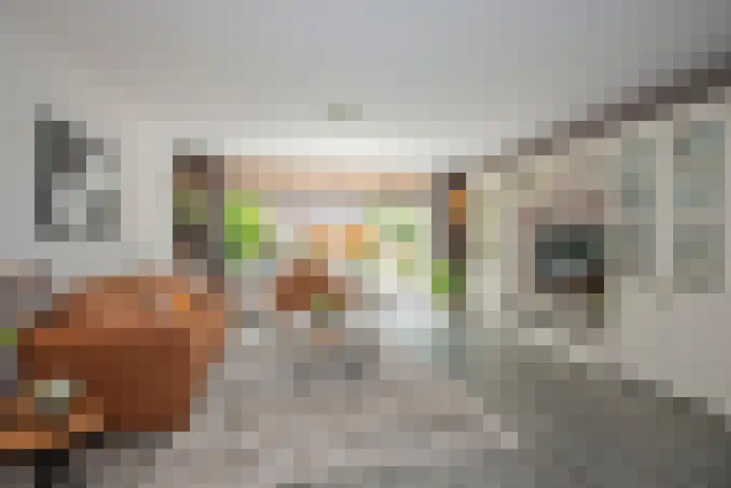 De Vogelweide 22 Almelo thumbnail 5