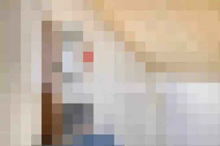 De Vogelweide 33 Almelo thumbnail 21