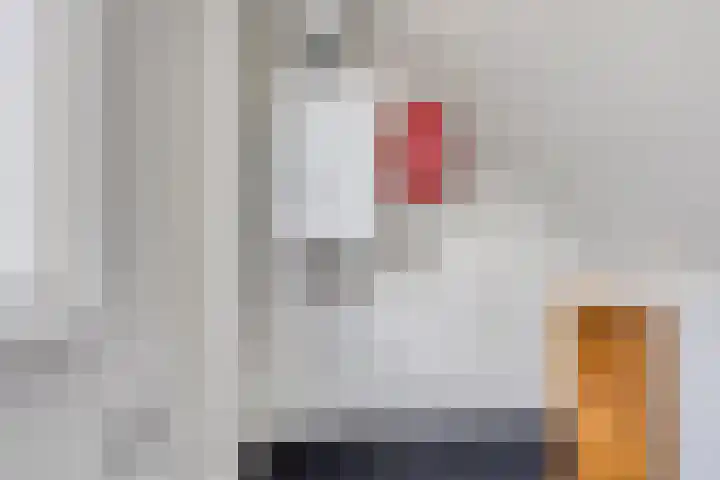 De Vogelweide 33 Almelo thumbnail 23