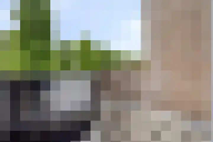 De Vogelweide 33 Almelo thumbnail 24