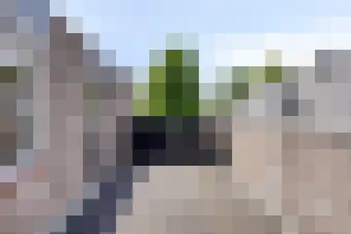 De Vogelweide 33 Almelo thumbnail 25