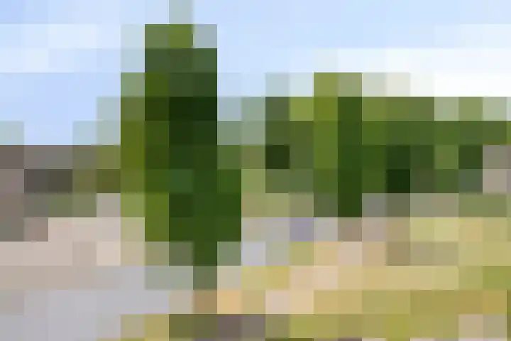 De Vogelweide 33 Almelo thumbnail 27