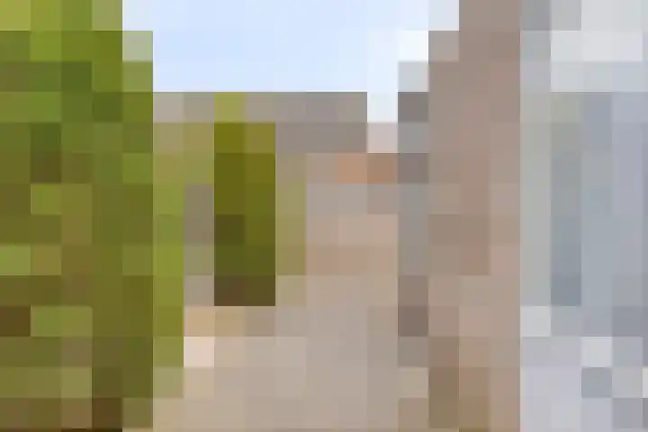 De Vogelweide 33 Almelo thumbnail 28