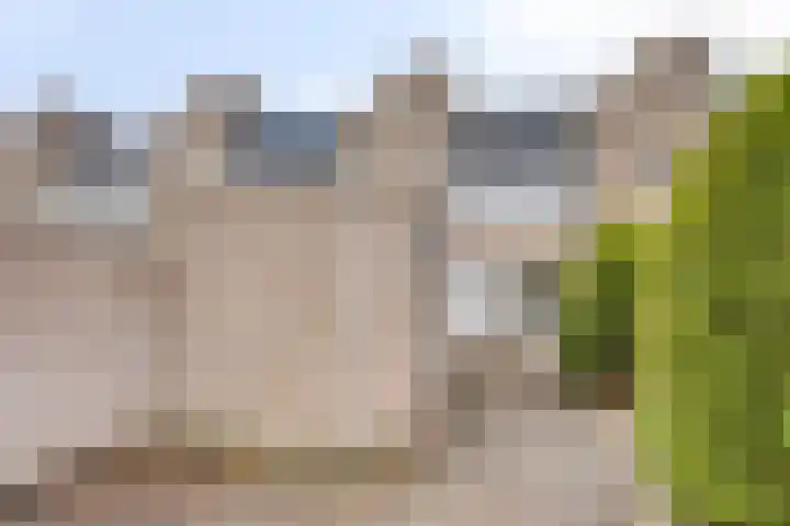 De Vogelweide 33 Almelo thumbnail 30