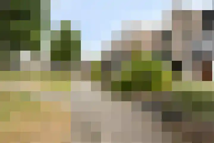 De Vogelweide 33 Almelo thumbnail 31