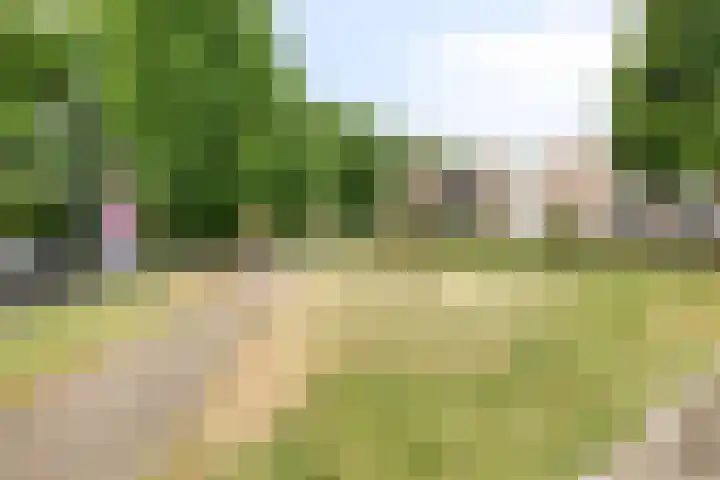 De Vogelweide 33 Almelo thumbnail 32
