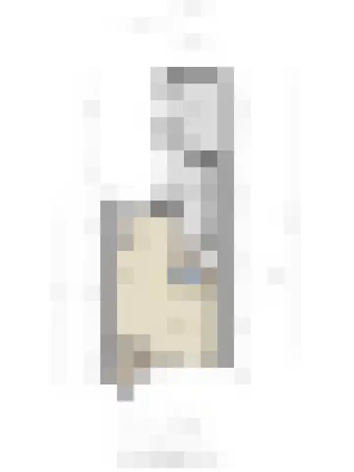 De Vogelweide 33 Almelo thumbnail 33