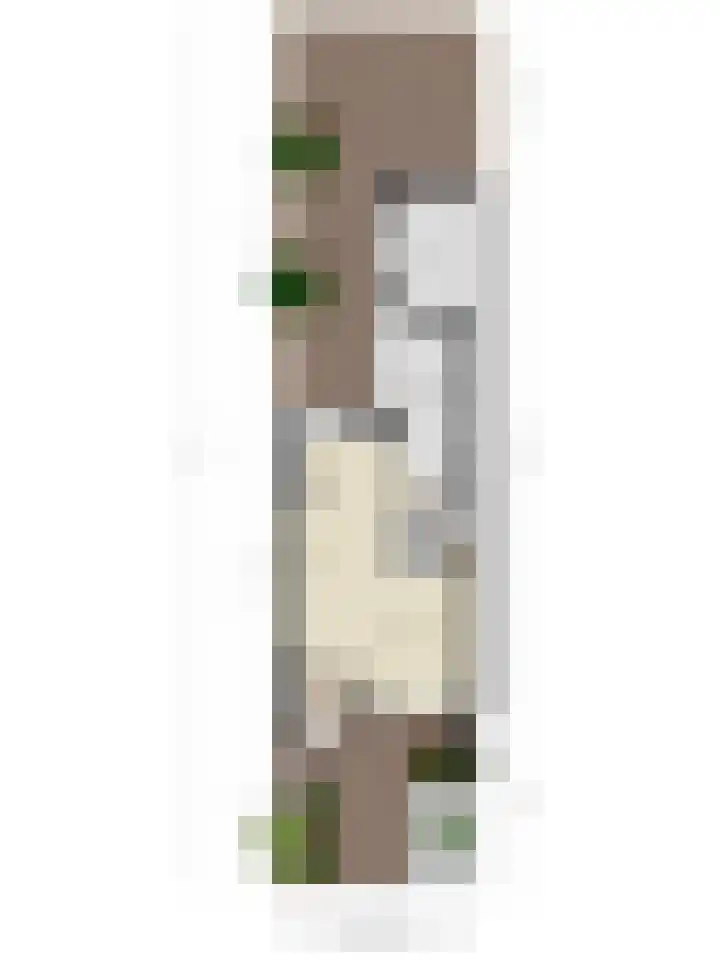 De Vogelweide 33 Almelo thumbnail 34
