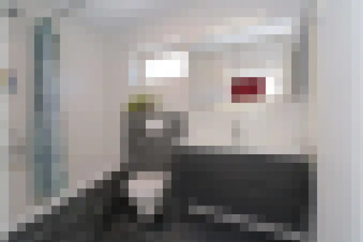 De Vogelweide 46 Almelo thumbnail 13