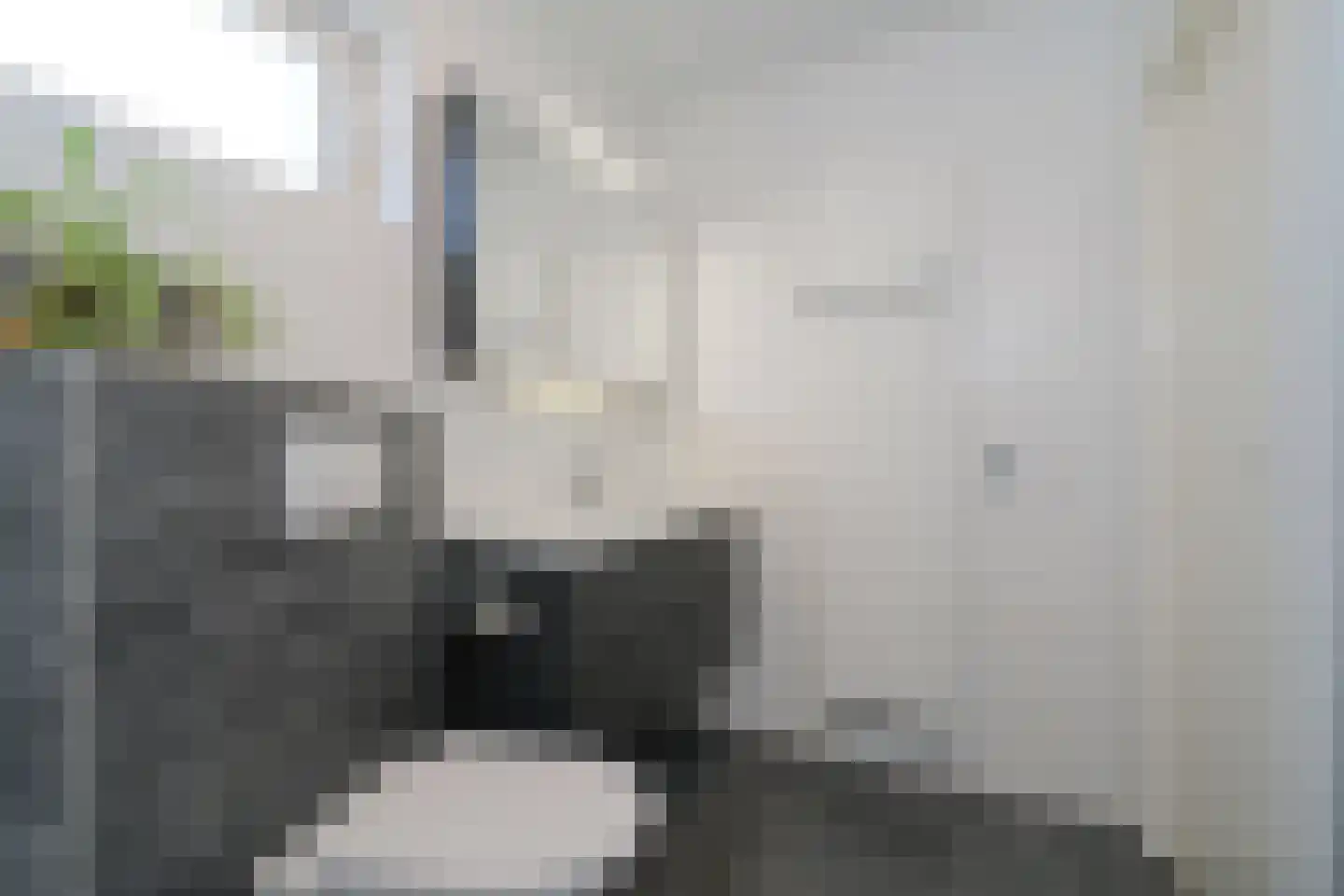 De Vogelweide 46 Almelo thumbnail 15
