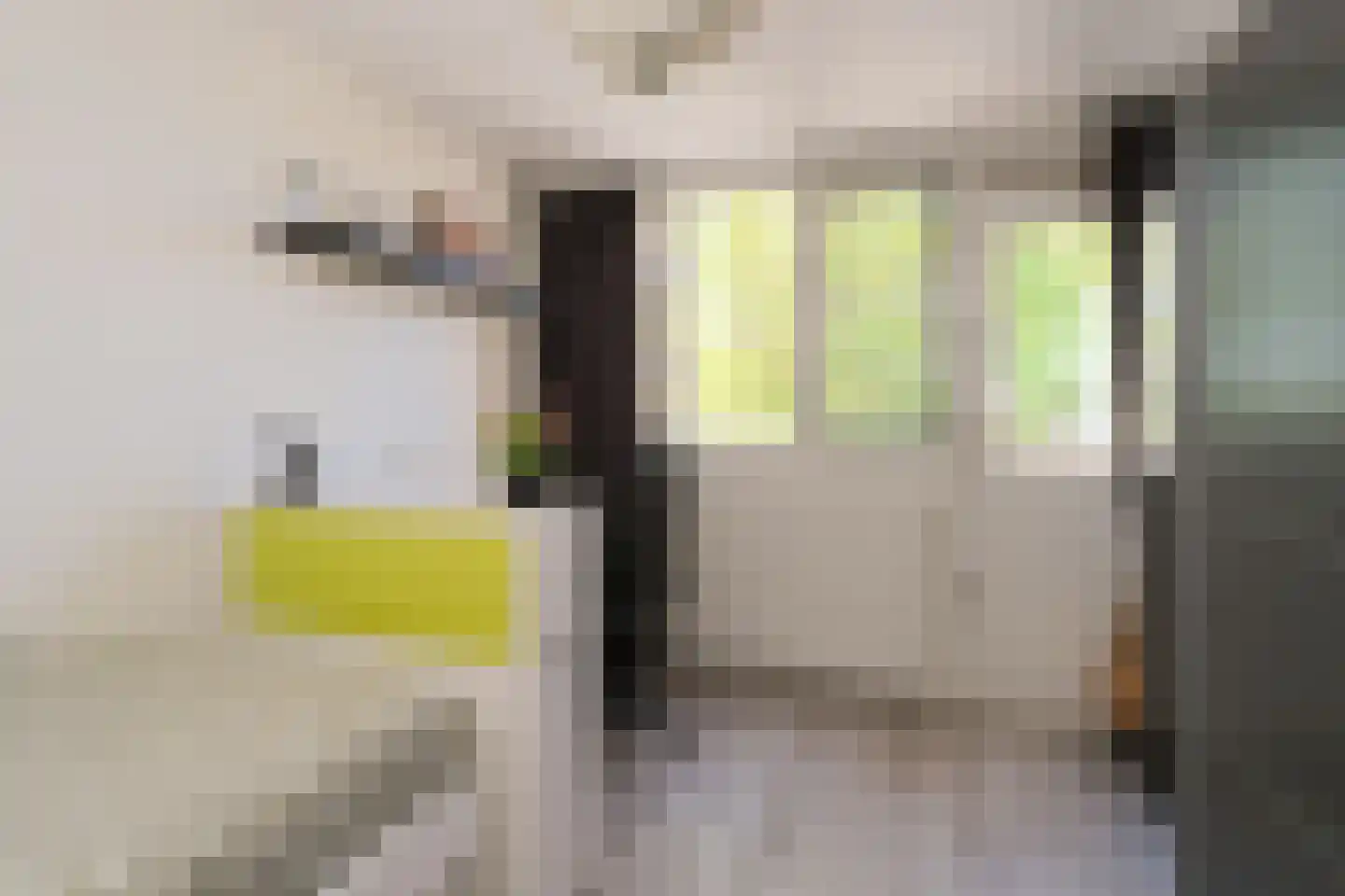 De Vogelweide 46 Almelo thumbnail 18