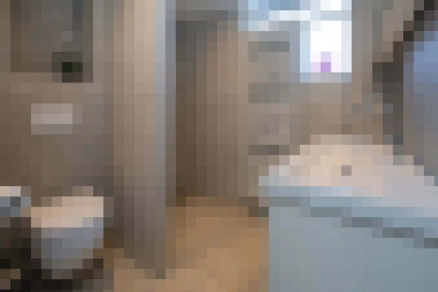 De Vogelweide 46 Almelo thumbnail 22