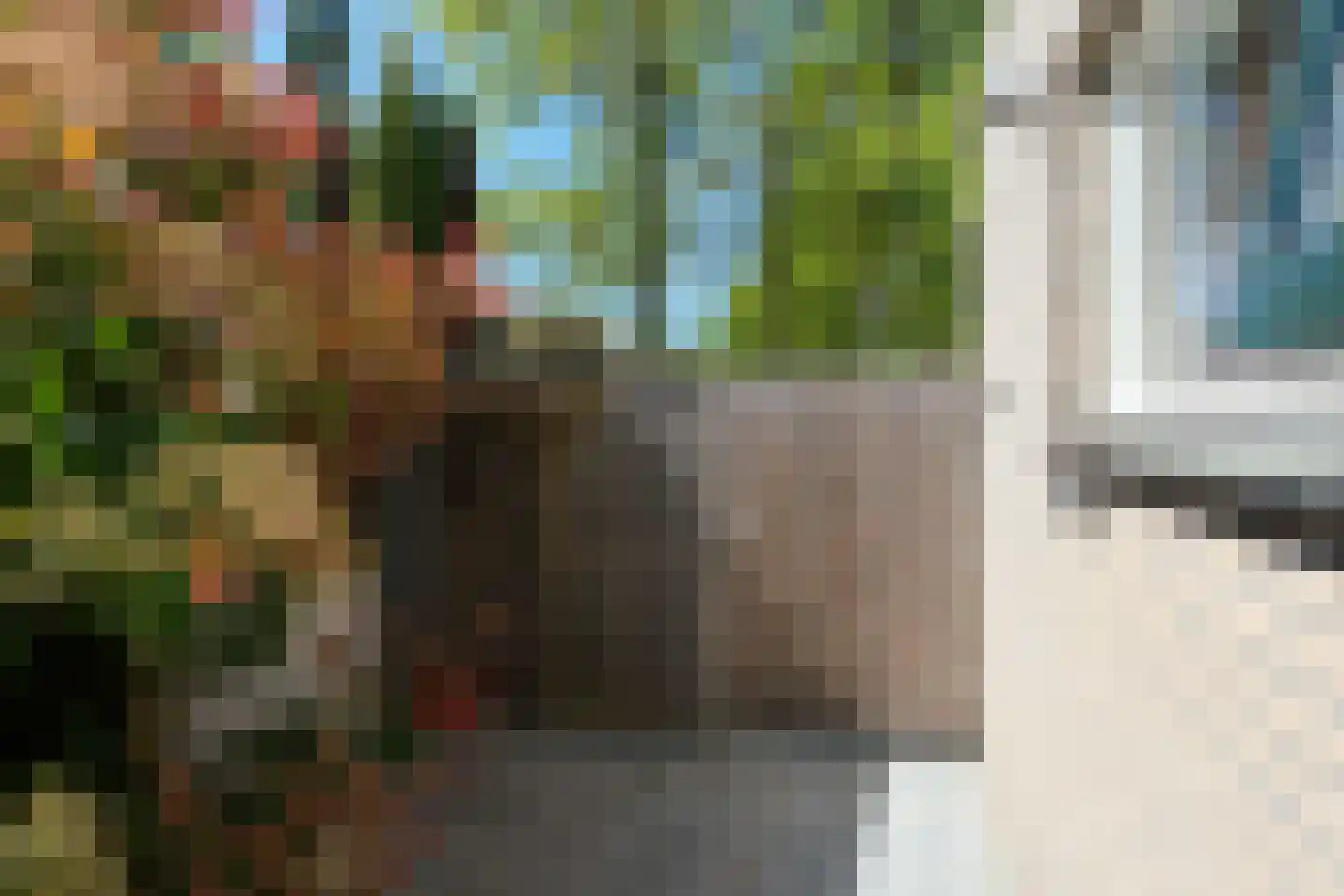 De Vogelweide 46 Almelo thumbnail 35
