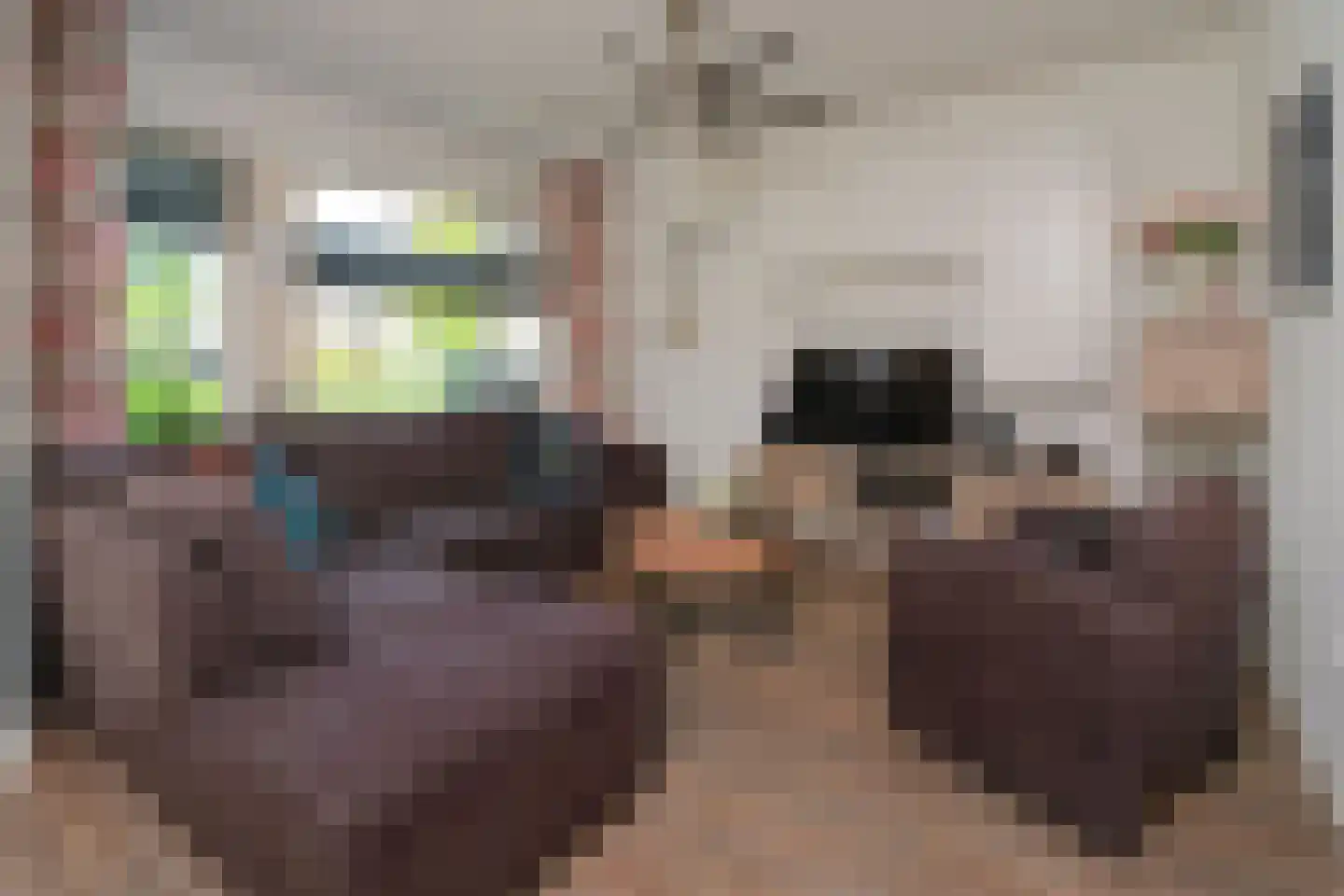 De Vogelweide 46 Almelo thumbnail 5