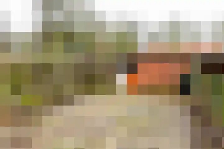 de Vogezen 24 Emmeloord thumbnail 11