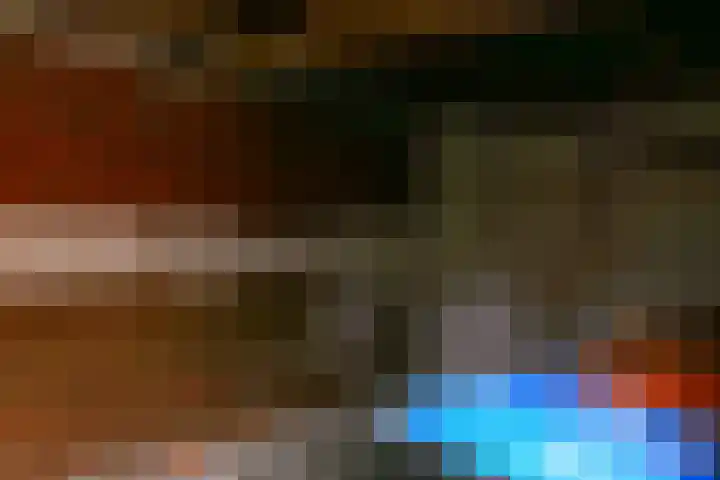 de Vogezen 24 Emmeloord thumbnail 12