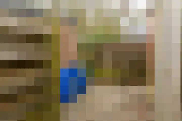 de Vogezen 24 Emmeloord thumbnail 13