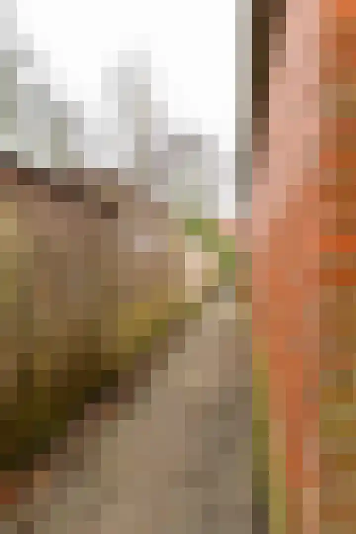 de Vogezen 24 Emmeloord thumbnail 14