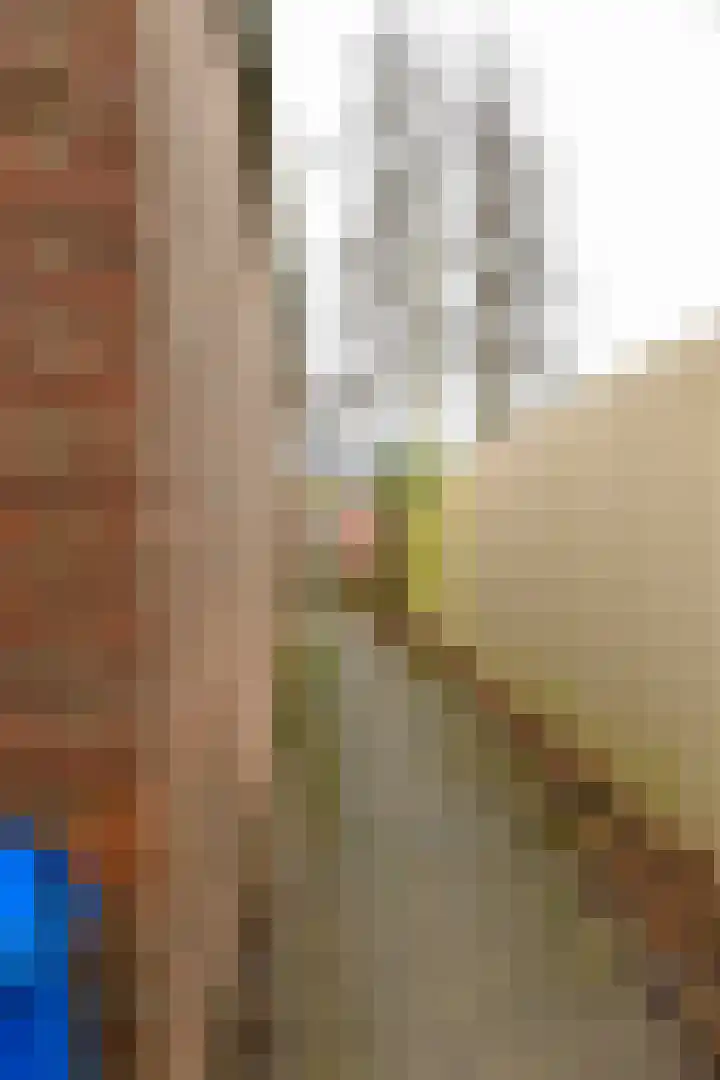 de Vogezen 24 Emmeloord thumbnail 15