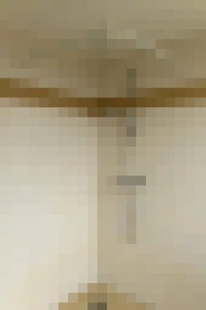 de Vogezen 24 Emmeloord thumbnail 18