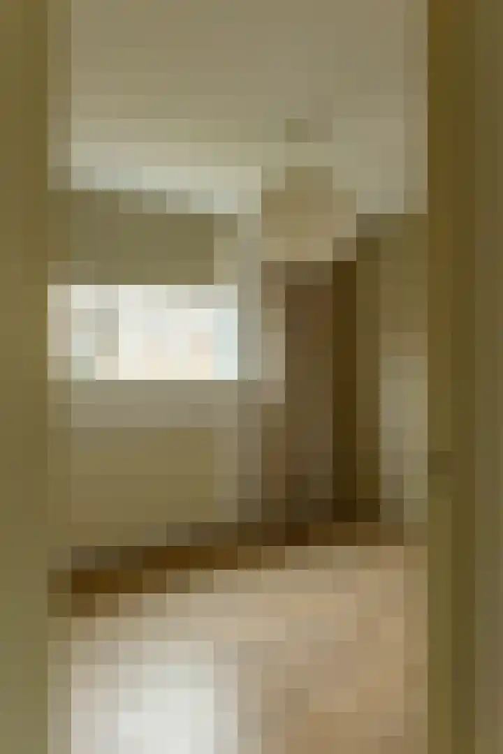 de Vogezen 24 Emmeloord thumbnail 22