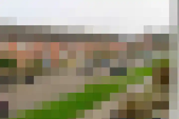 de Vogezen 24 Emmeloord thumbnail 25