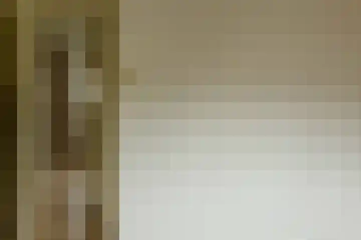 de Vogezen 24 Emmeloord thumbnail 29