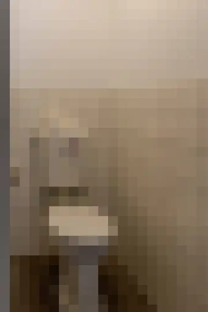 de Vogezen 24 Emmeloord foto 3