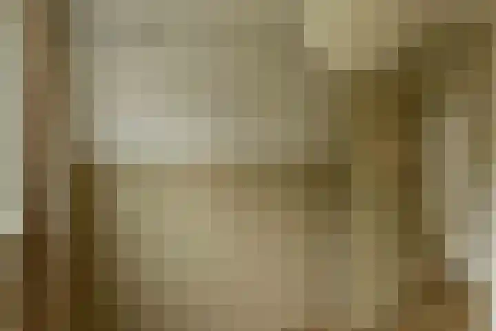 de Vogezen 24 Emmeloord thumbnail 31
