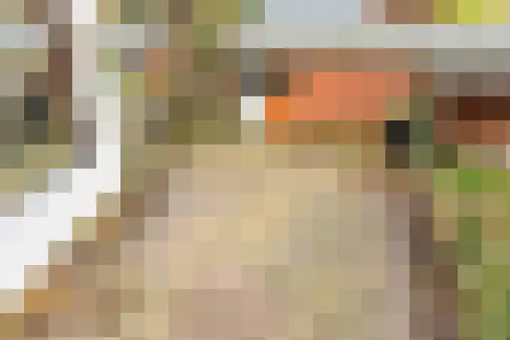 de Vogezen 24 Emmeloord thumbnail 34
