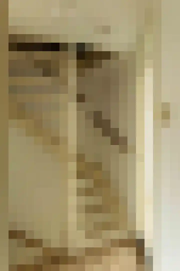 de Vogezen 24 Emmeloord thumbnail 36