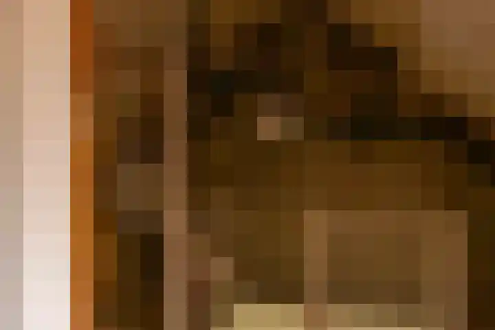 de Vogezen 24 Emmeloord thumbnail 37