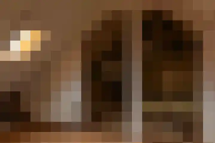 de Vogezen 24 Emmeloord thumbnail 39