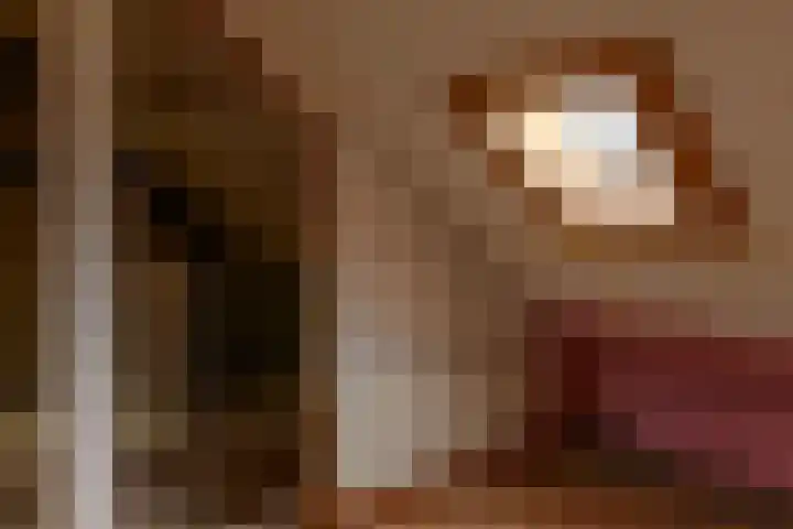 de Vogezen 24 Emmeloord thumbnail 40