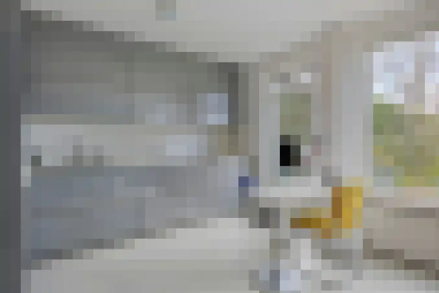 De Volder 20 Boxtel thumbnail 18