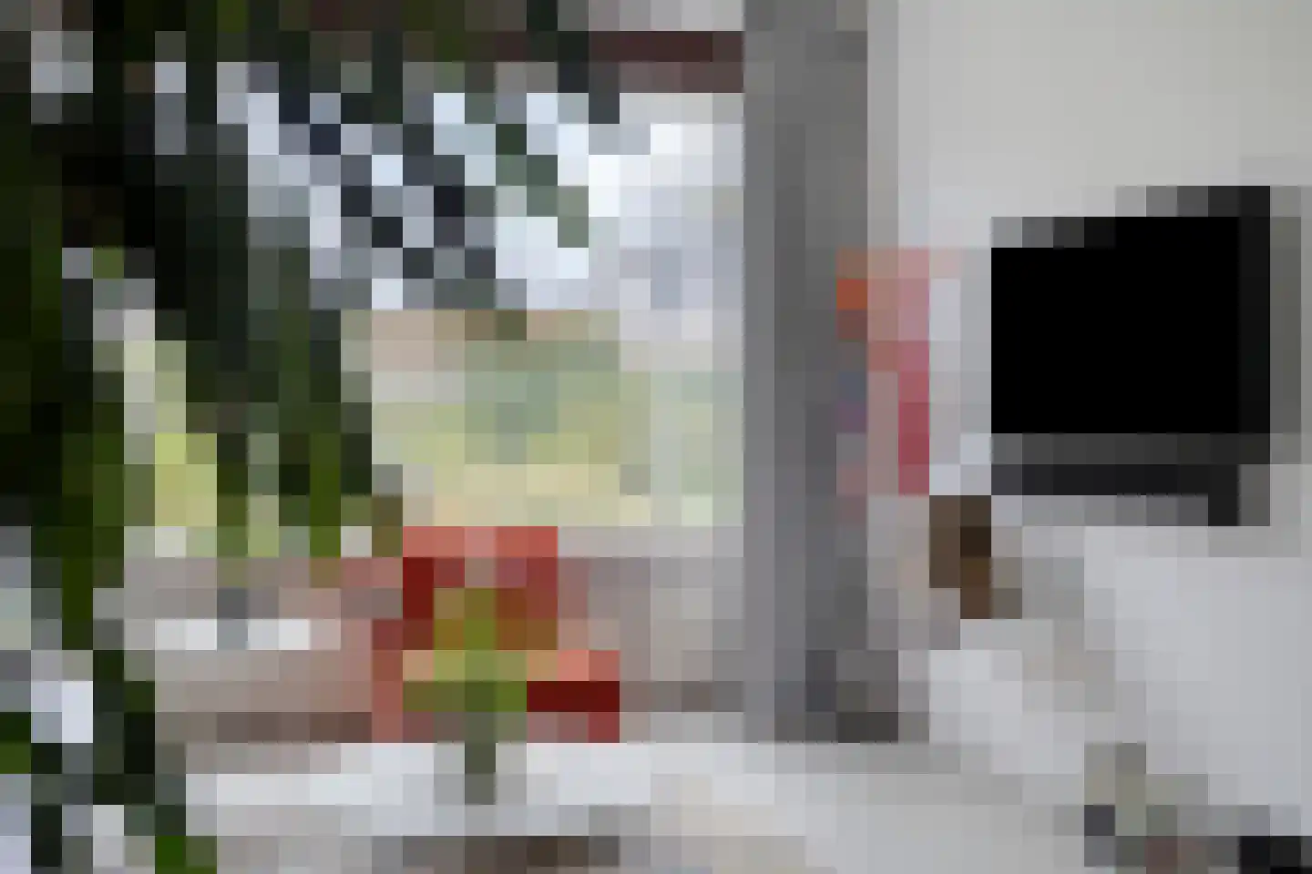 De Volder 20 Boxtel thumbnail 23