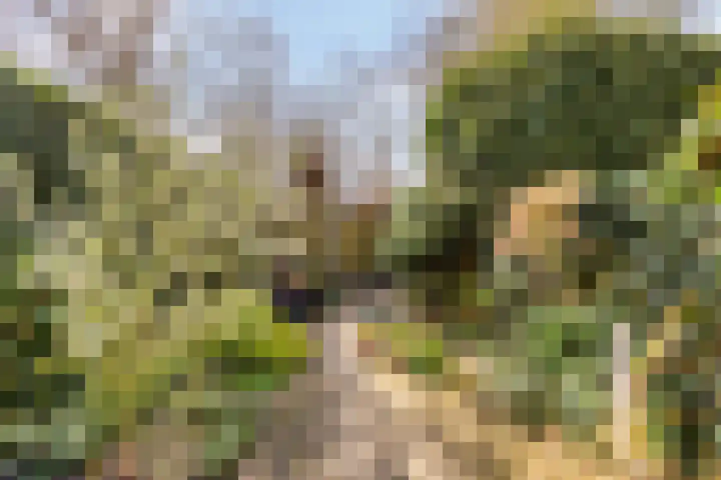 De Volder 20 Boxtel thumbnail 39