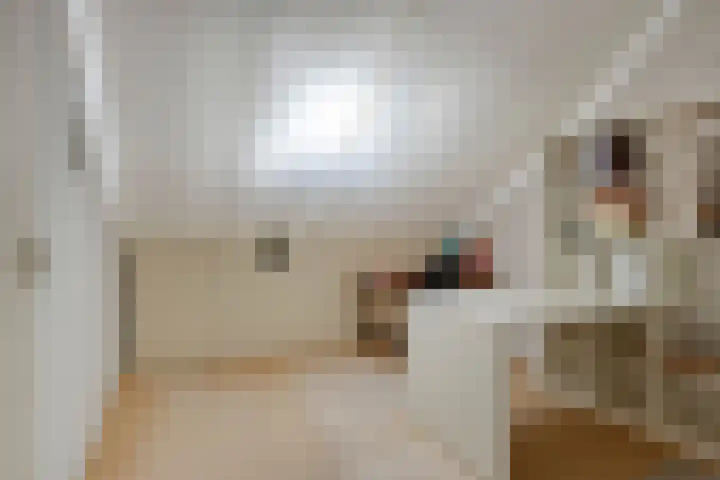 De Volder 20 Boxtel thumbnail 6