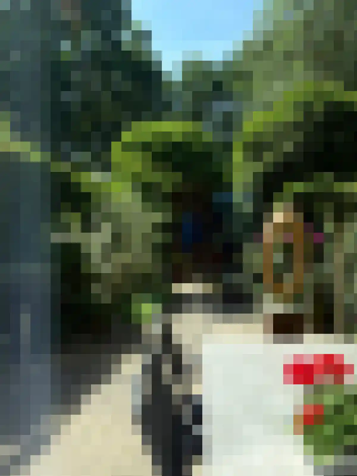 De Volder 20 Boxtel thumbnail 7