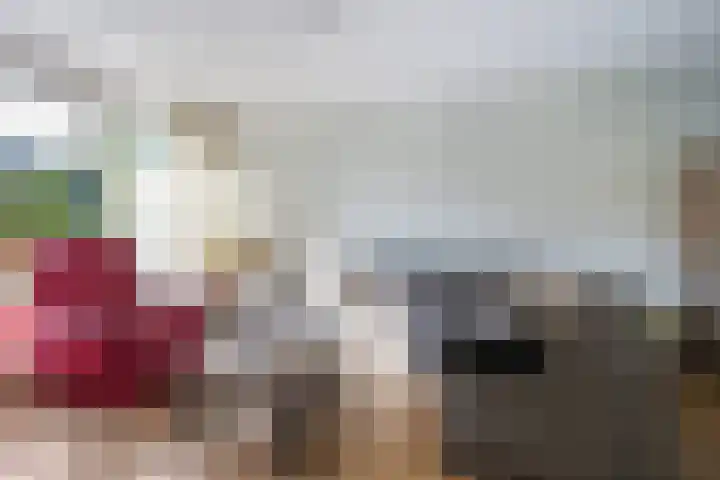 De Volder 25 Boxtel thumbnail 15